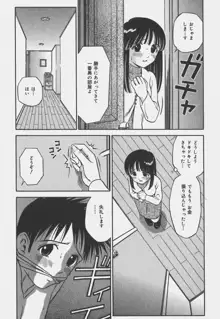 いけないお姉さん, 日本語