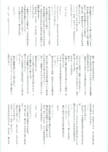 アストラルバウト Ver.12, 日本語