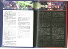 Monster Girl Encyclopedia World Guide I ～堕落の乙女達～ -Fallen Maidens-, 日本語