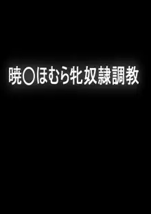 暁○ほむら牝奴隷調教, 日本語