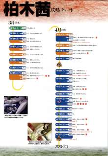 攻略＆設定資料集, 日本語