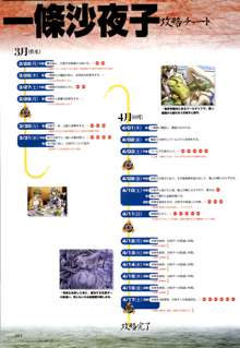 攻略＆設定資料集, 日本語