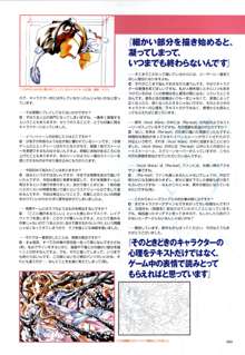 攻略＆設定資料集, 日本語