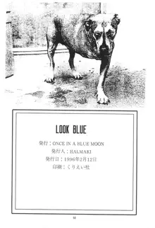 LOOK BLUE, 日本語