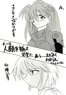 (C49) [Ayashige Dan (Various) Jinrui Hokan Keikaku 2 (Neon Genesis Evangelion) [Incomplete], 日本語