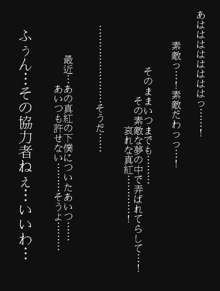 RTK BOOK.Ver6.1 「捕・嬲・奴 中篇～女殺し屋を洗脳種付けせよ～」, 日本語