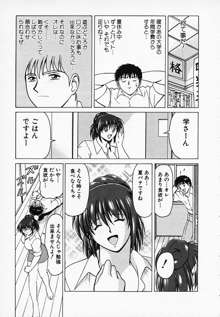 ごはんはいかが, 日本語