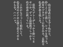 家出娘に催眠かけて拉致って洗脳レイプ調教してオナホに作り変えてみた。, 日本語