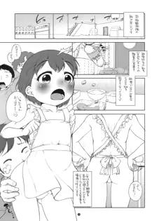 南極料理娘, 日本語