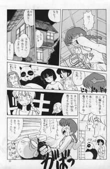 Ranma 1/2  がんばれ中日DRAGONS, 日本語