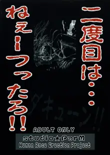 PM 5 犯ってから殺られるか　殺ってから犯られるか…選べ, 日本語