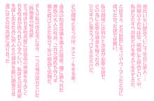 そ、そんにゃ!!そんにゃつもりじゃ、にゃかったのにぃぃぃ、あへええええ!!!!ー路地裏の玩具屋ー, 日本語