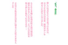 そ、そんにゃ!!そんにゃつもりじゃ、にゃかったのにぃぃぃ、あへええええ!!!!ー路地裏の玩具屋ー, 日本語