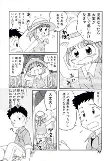 夢かもしれない, 日本語