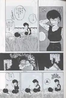 Ranma 1H, 日本語