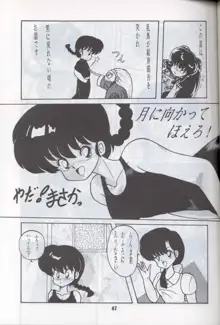 Ranma 1H, 日本語