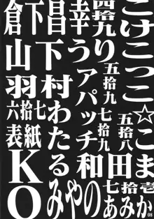 特急第3新東京市行き, 日本語