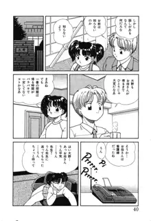 幕の内少女弁当, 日本語