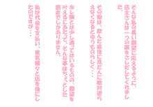 んほおお!!こんにゃの・・・こんにゃのひどいよぉ・・・アヘええ!!-路地裏の玩具屋-, 日本語