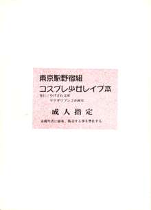 東京駅野宿組コスプレ少女レイプ本, 日本語