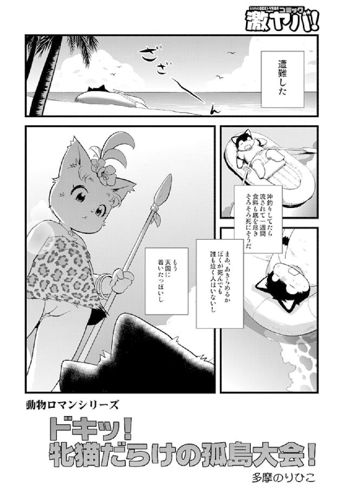 ドキッ！牝猫だらけの孤島大会！, 日本語