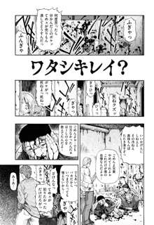 ワタシキレイ？, 日本語