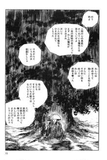 半蔵の門 第12巻, 日本語