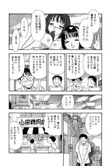 ひみつ妻, 日本語