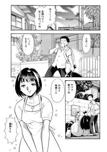 ひみつ妻, 日本語