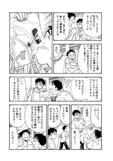 ひみつ妻, 日本語