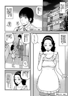 33歳みだら妻, 日本語