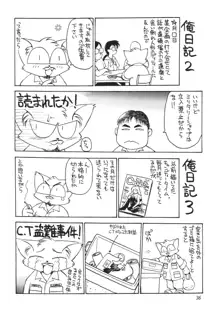 常夏ねこ日記, 日本語