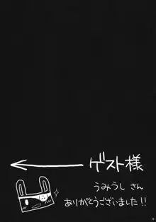 みねね様の新妻日記, 日本語