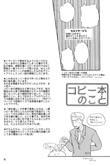 immoral imitation, 日本語