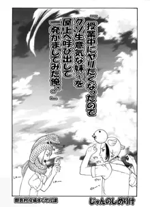 「授業中にヤリたくなったのでクソ生意気な妹♀を屋上へ呼び出して一発かましてみた俺♂」, 日本語