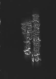 東風谷早苗は歪んでる, 日本語