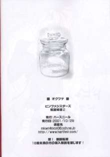 ビンズメシスターズ 瓶詰妹達2, 日本語