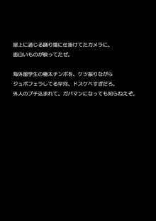 ことわりきれない早河さん, 日本語