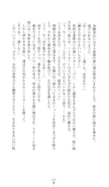 こんな娘がいたら僕はもう…!! 三瀬綾菜の情熱, 日本語