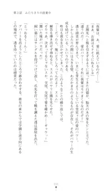 こんな娘がいたら僕はもう…!! 三瀬綾菜の情熱, 日本語