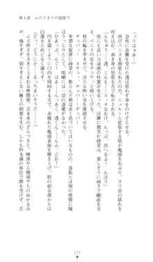 こんな娘がいたら僕はもう…!! 三瀬綾菜の情熱, 日本語