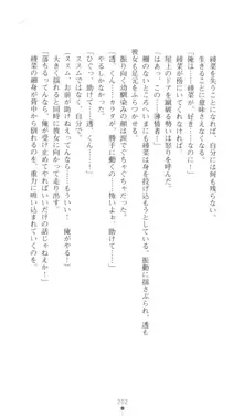 こんな娘がいたら僕はもう…!! 三瀬綾菜の情熱, 日本語