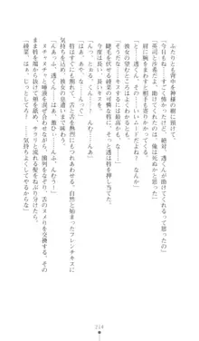 こんな娘がいたら僕はもう…!! 三瀬綾菜の情熱, 日本語