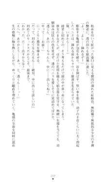 こんな娘がいたら僕はもう…!! 三瀬綾菜の情熱, 日本語