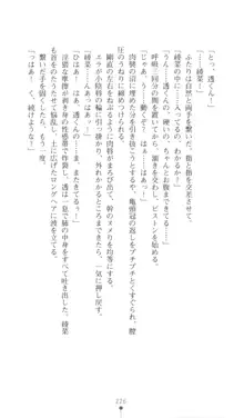 こんな娘がいたら僕はもう…!! 三瀬綾菜の情熱, 日本語