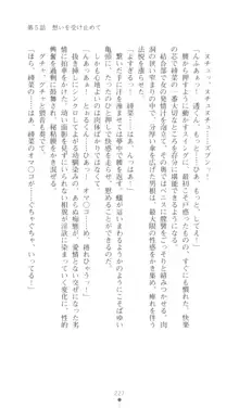 こんな娘がいたら僕はもう…!! 三瀬綾菜の情熱, 日本語