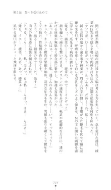 こんな娘がいたら僕はもう…!! 三瀬綾菜の情熱, 日本語