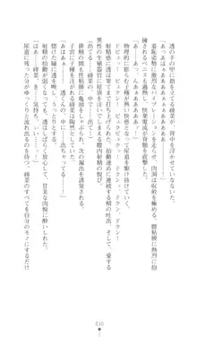 こんな娘がいたら僕はもう…!! 三瀬綾菜の情熱, 日本語