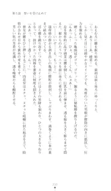 こんな娘がいたら僕はもう…!! 三瀬綾菜の情熱, 日本語