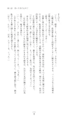 こんな娘がいたら僕はもう…!! 三瀬綾菜の情熱, 日本語